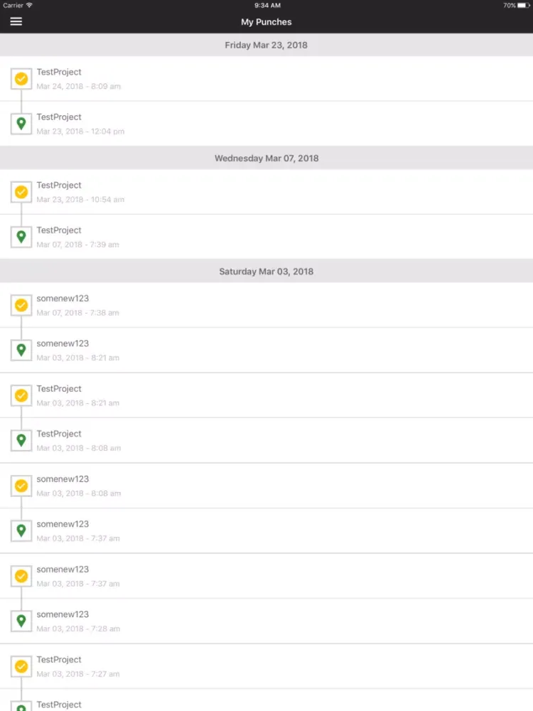 Screenshot di DBA Punchcard iPad 