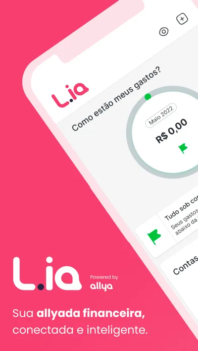 Tangkapan skrin Lia - Assistente Financeira