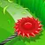 Grass Road 3D