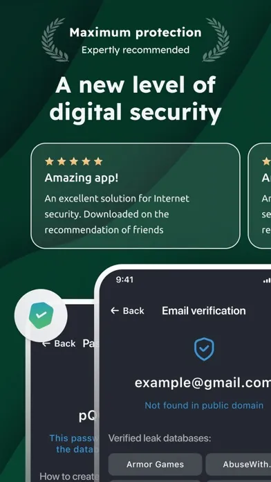 Tangkapan layar PrivateLinks VPN PRO