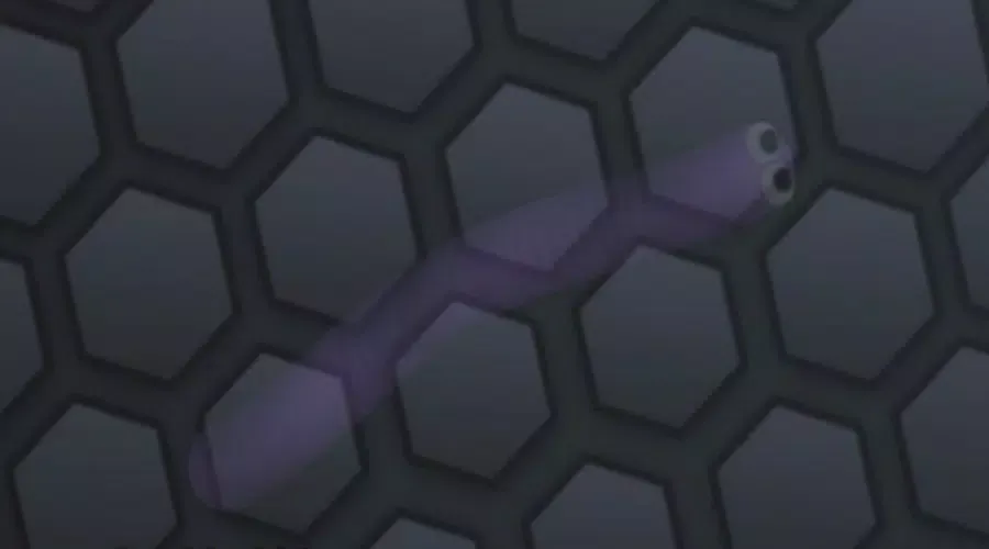 Invisible skins for slither Screenshots