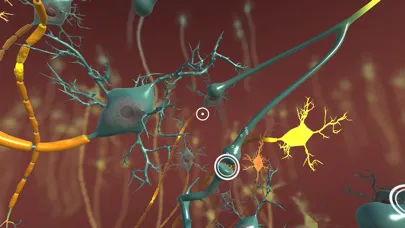 INVIVO Bloodstream Explorer VR Screenshots