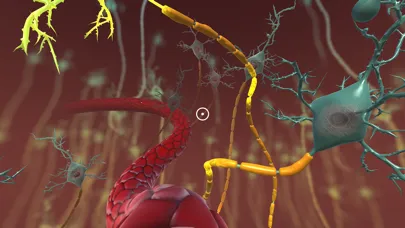 INVIVO Bloodstream Explorer VR Screenshots