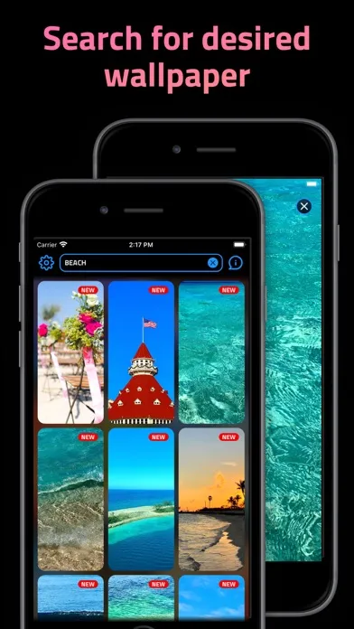 The Wallpapers Club سکرین شاٹس