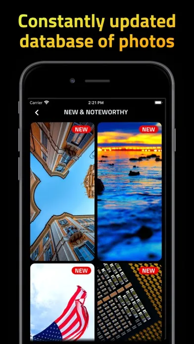 The Wallpapers Club سکرین شاٹس