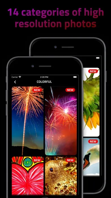 The Wallpapers Club سکرین شاٹس