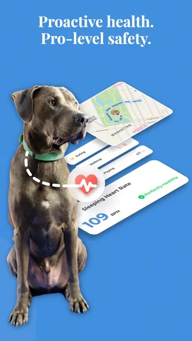 Invoxia Minitailz GPS for dogs स्क्रीनशॉट