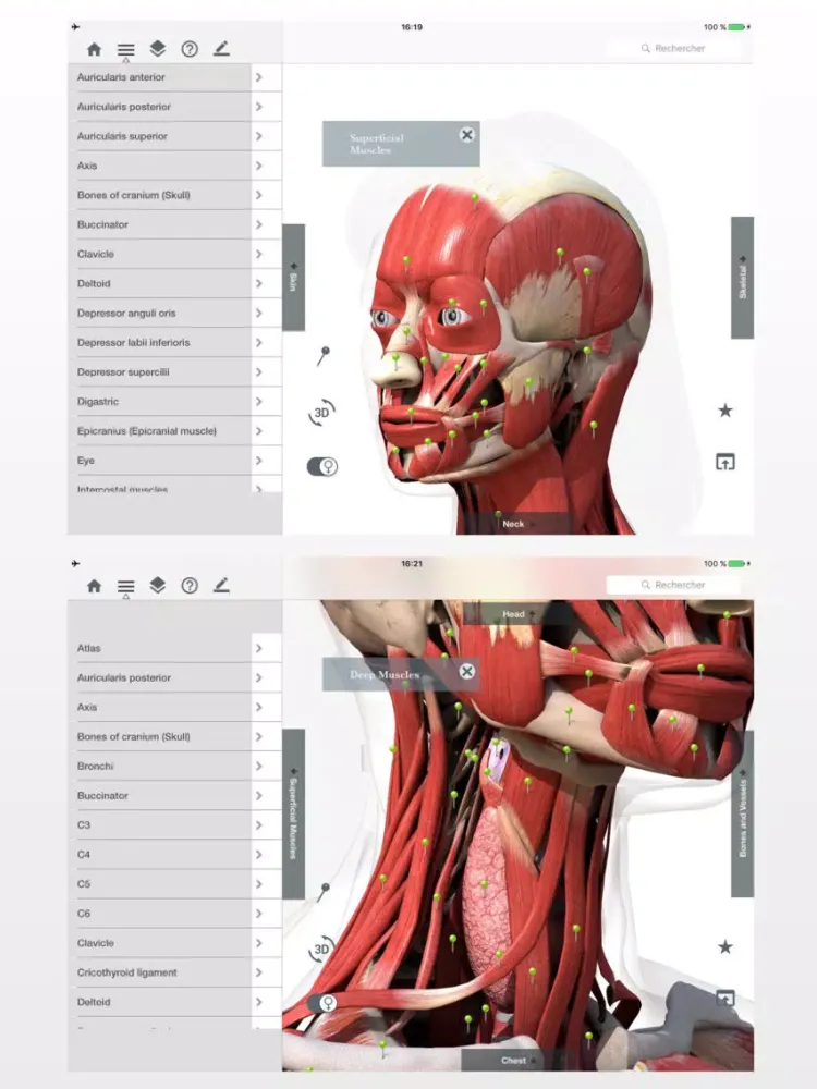 Screenshot di Anatomy Easy : Learn Muscles, Skeleton and Bones iPad 