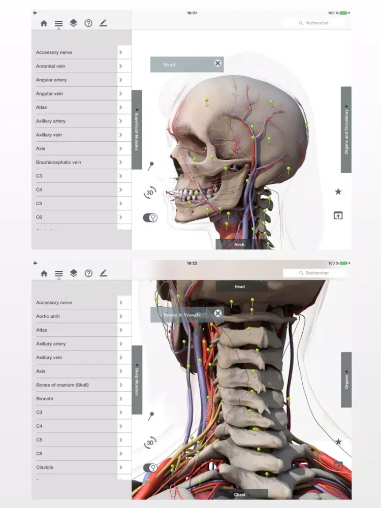Screenshot di Anatomy Easy : Learn Muscles, Skeleton and Bones iPad 