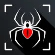 Spiders Identifier by Photo ID