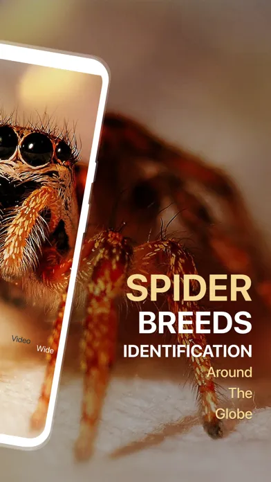Zrzuty ekranu Spiders Identifier by Photo ID