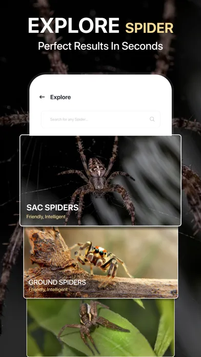 Zrzuty ekranu Spiders Identifier by Photo ID