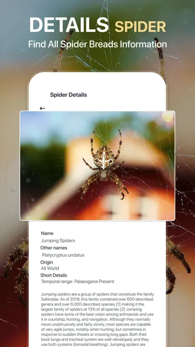 Zrzuty ekranu Spiders Identifier by Photo ID