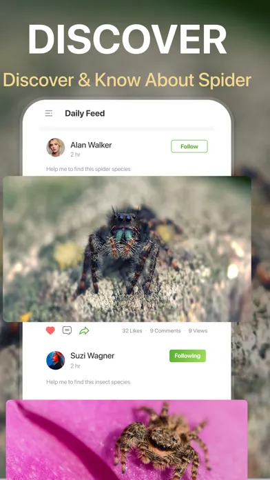 Zrzuty ekranu Spiders Identifier by Photo ID