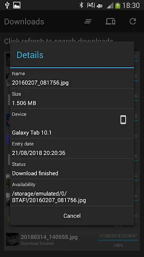 Bluetooth Transfer Any File應用截圖
