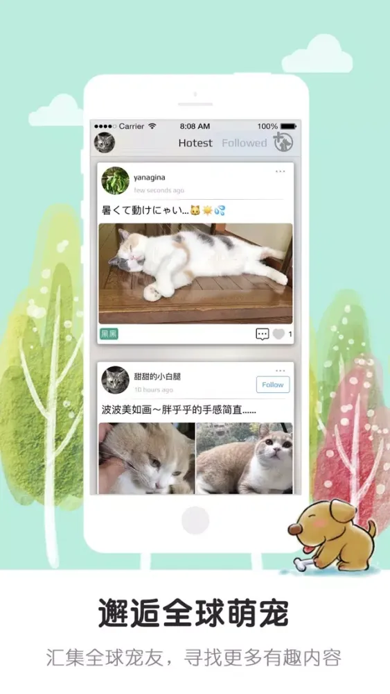 Petbook Community Ekran Görüntüleri