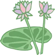Lotus River Lotus River