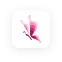 Butterfly Butterfly