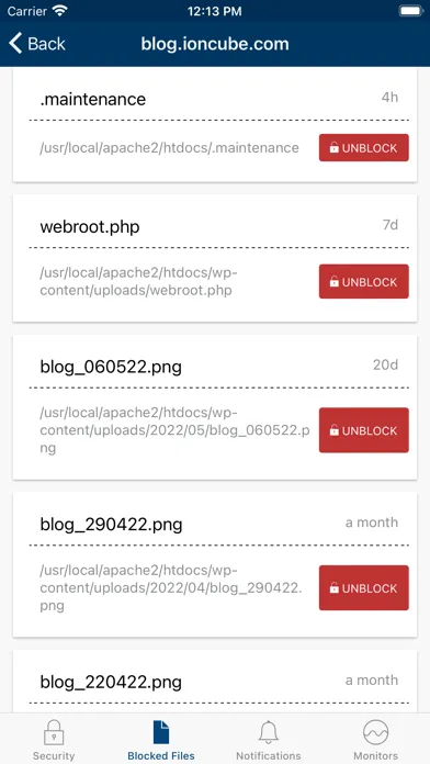 ionCube24 Companion Screenshots