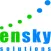 Ensky Report