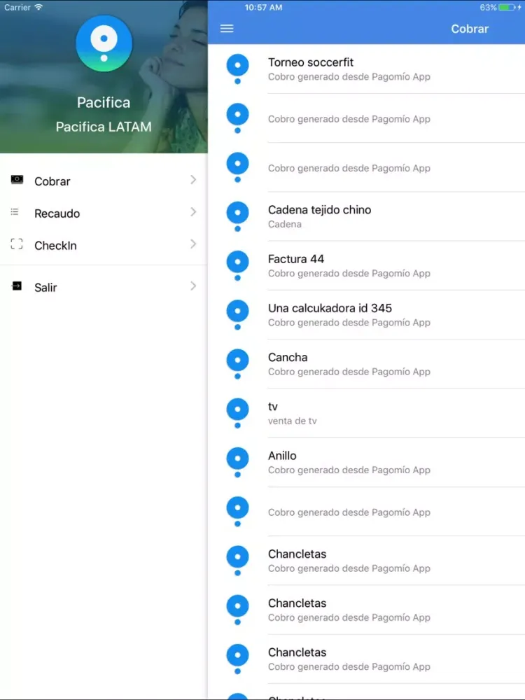 Pagomio iPad 应用截图