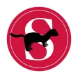 The Stray Ferret The Stray Ferret