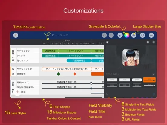 Roadmap - Timeline Plan Chart iPad  স্ক্রিনশট