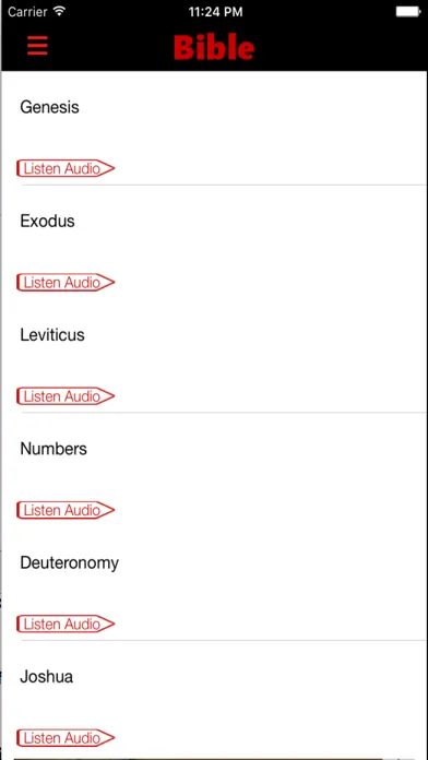 Tangkapan layar New American Standard Bible (Audio)