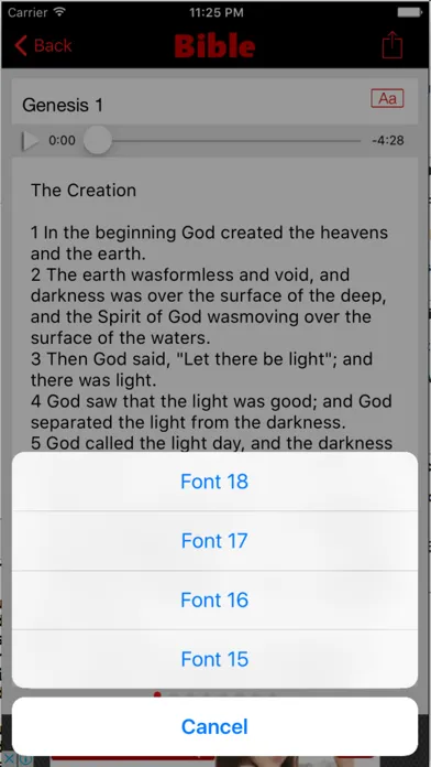 Tangkapan layar New American Standard Bible (Audio)