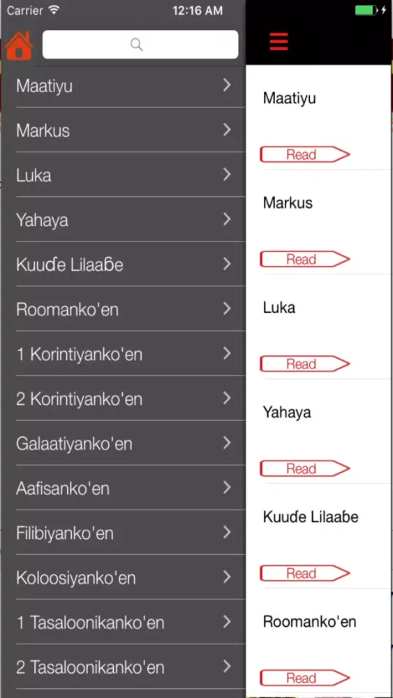 Nigerian Fulfulde Bible Screenshots