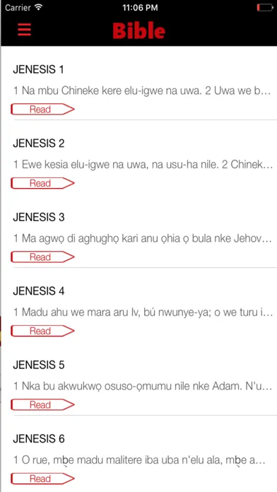 Nigeria Igbo Bible Screenshots