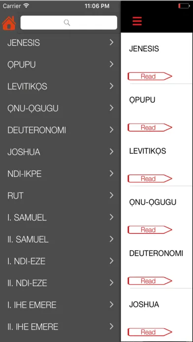 Nigeria Igbo Bible Screenshots