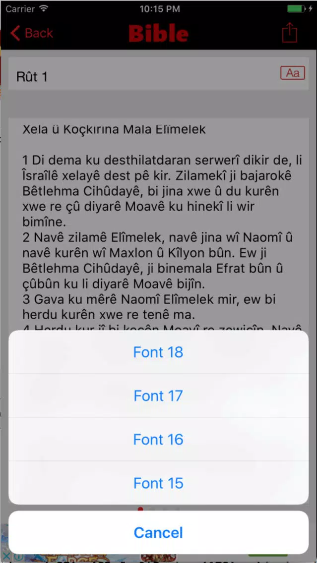 Capturas de pantalla de Kurdish Bible