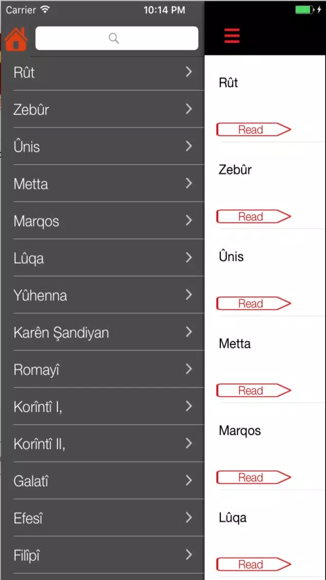 Capturas de pantalla de Kurdish Bible