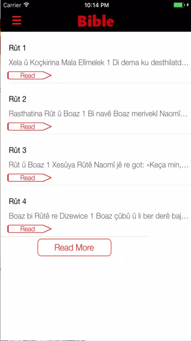 Capturas de pantalla de Kurdish Bible