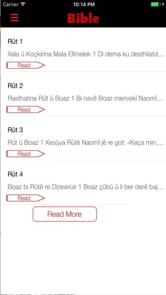 Screenshot di Kurdish Bible