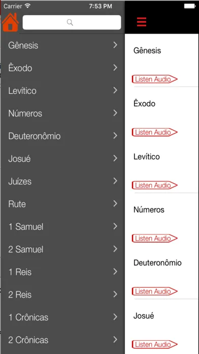 Screenshot di Nova Versão Internacional Bíblia (Audio)