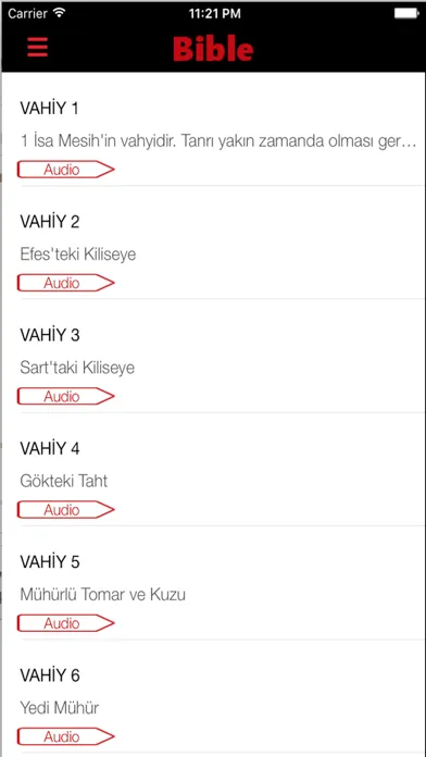 Turkish Bible (Audio) Screenshots