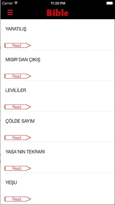 Turkish Bible (Audio) Screenshots