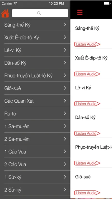 Vietnamese Bible (Audio) Screenshots