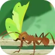 Ant Colony Kingdom-idle game Ant Colony Kingdom-idle game