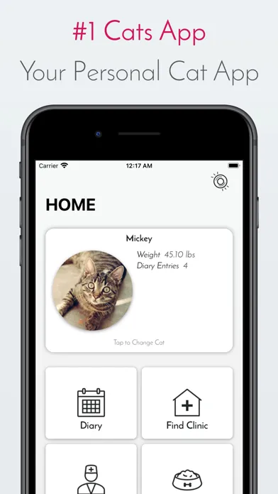 Kitty App - Care my Cat স্ক্রিনশট