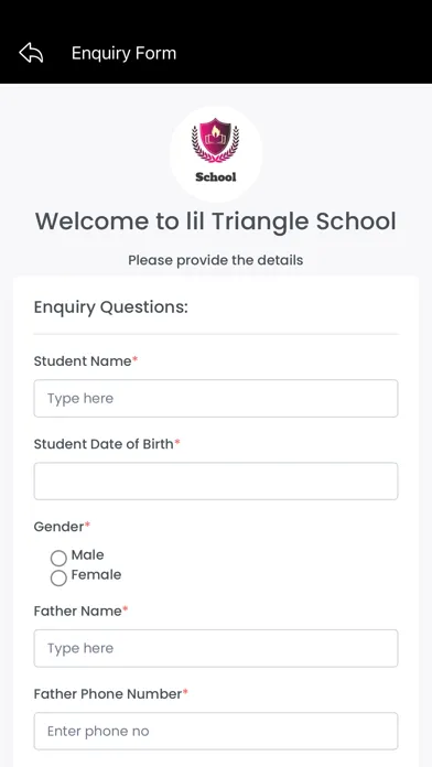 Tangkapan skrin Liltriangle Enquiry