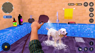 Animal Shelter Pet Dog Rescue Screenshots