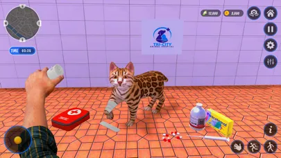 Animal Shelter Pet Dog Rescue Screenshots