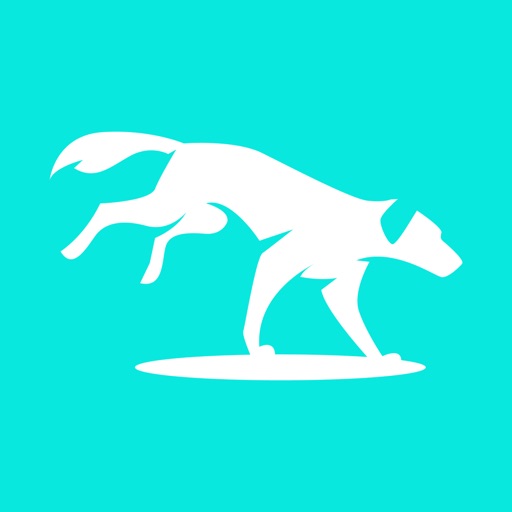 Pup Pro Connect & Dog Training