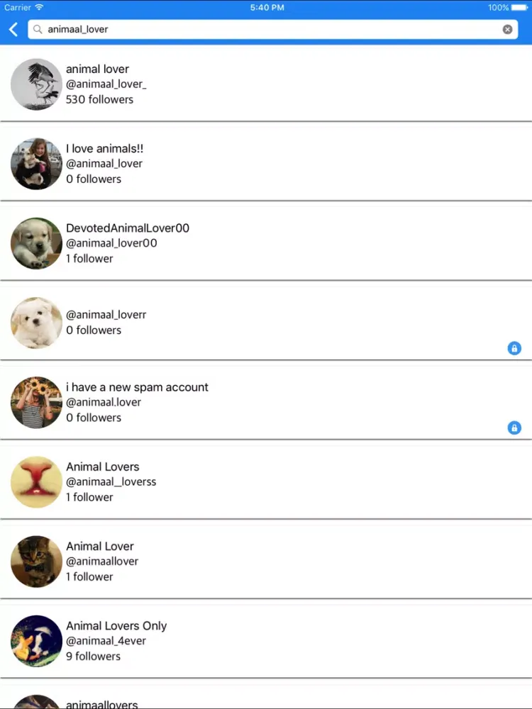 Screenshot di LargeDp iPad 