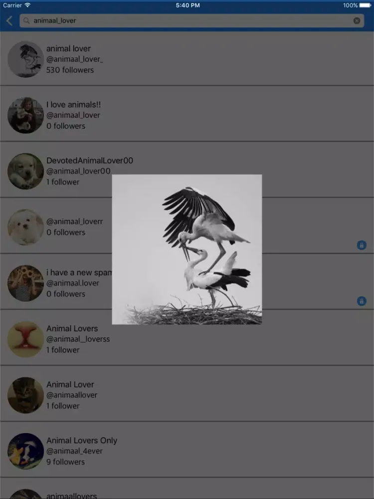 Screenshot di LargeDp iPad 