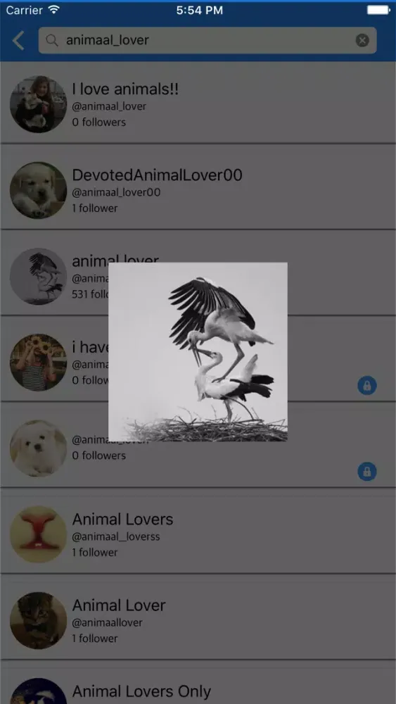 Screenshot di LargeDp