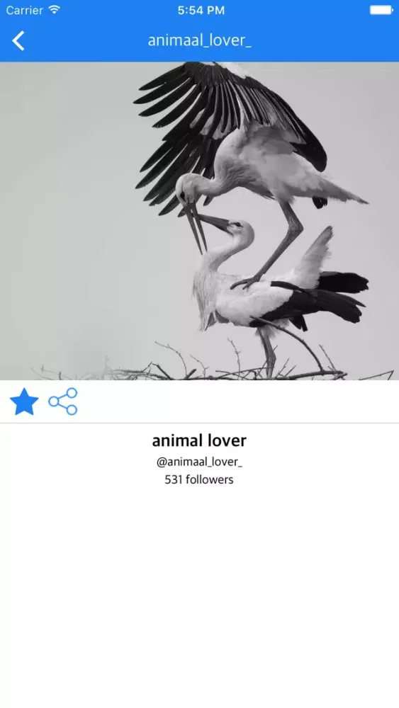 Screenshot di LargeDp